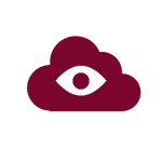 Monitor Security