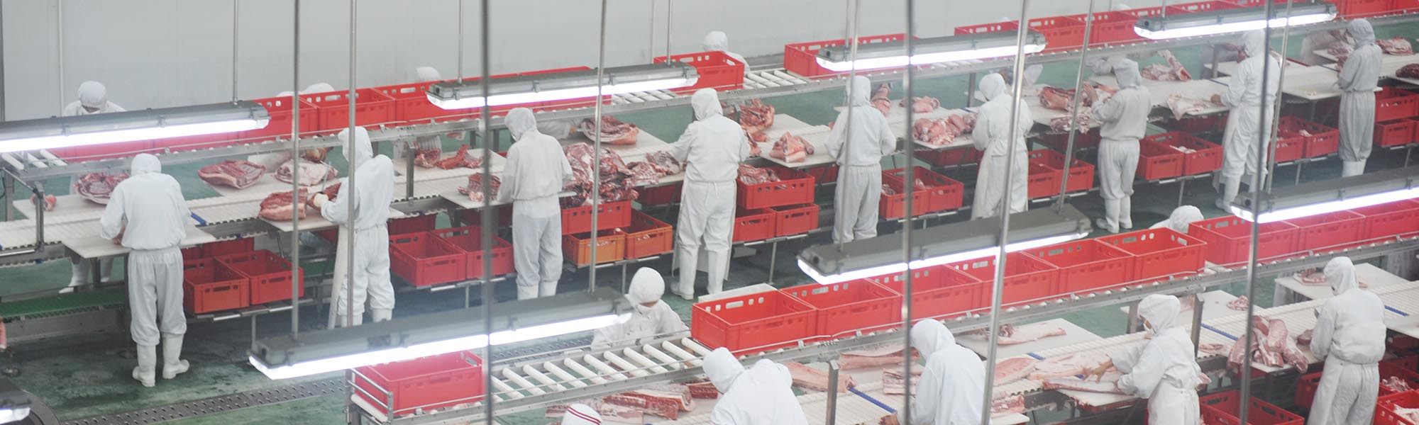 pork processing assembly line