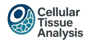 Cellular Tissue Analysis