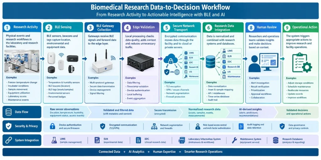 AI biomedical research workflow from BLE sensing and data integration to AI analysis and operational action