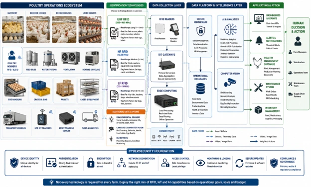 AI and RFID poultry operations infographic showing assets, sensors, data flow, analytics, cybersecurity, and actions.